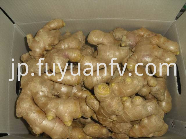 air dried ginger 